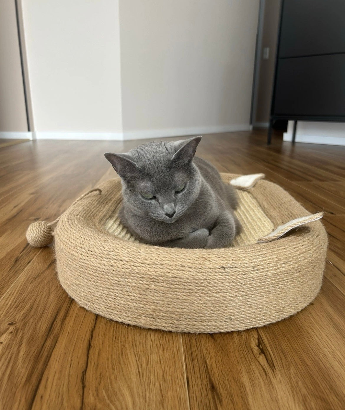 Katzenkratzbrett mit Spielball und Kratzfläche- Kratzbaum, Katzenbett & Katzenspielzeug in einem.