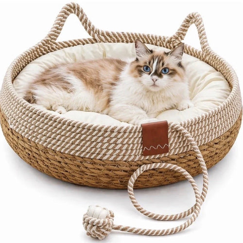 Katze liegt im geflochtenen Katzenkorb mit weichem Kissen