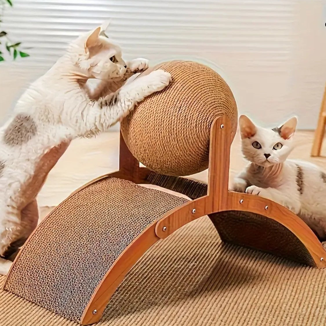 Zwei Katzen spielen gemeinsam am Kratzbaum mit Sisalseil
