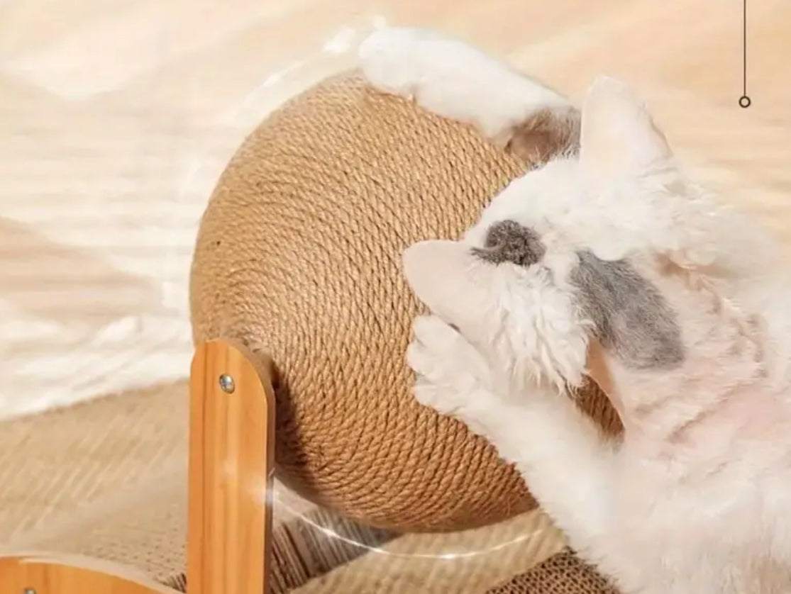 Katzenkratzbaum Katzenbaum Kletterbaum Kratzmöbel Katzenkratzbrett mit Kratzball