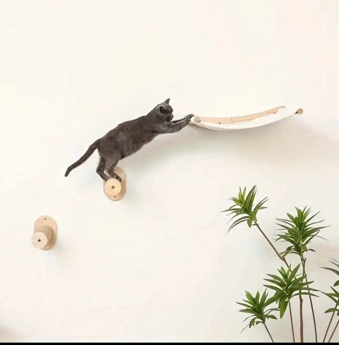 Katzen Kletterwand mit Katzenhängematte, Kratzbaum, Liegeplatz & 2 Kratztreppen