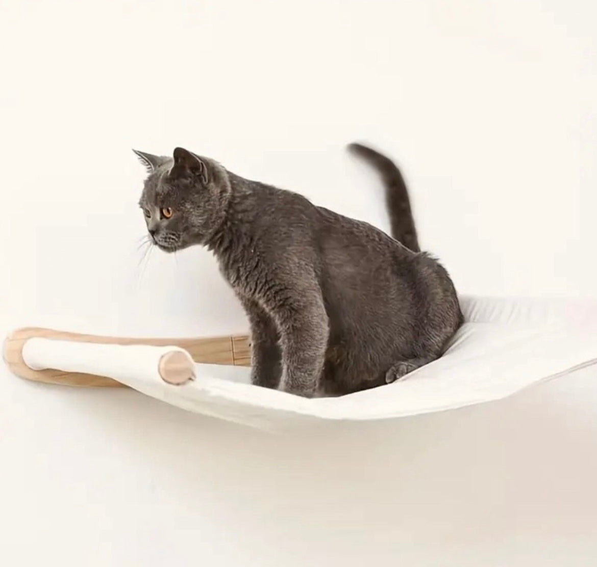 Katzen Kletterwand mit Katzenhängematte, Kratzbaum, Liegeplatz & 2 Kratztreppen