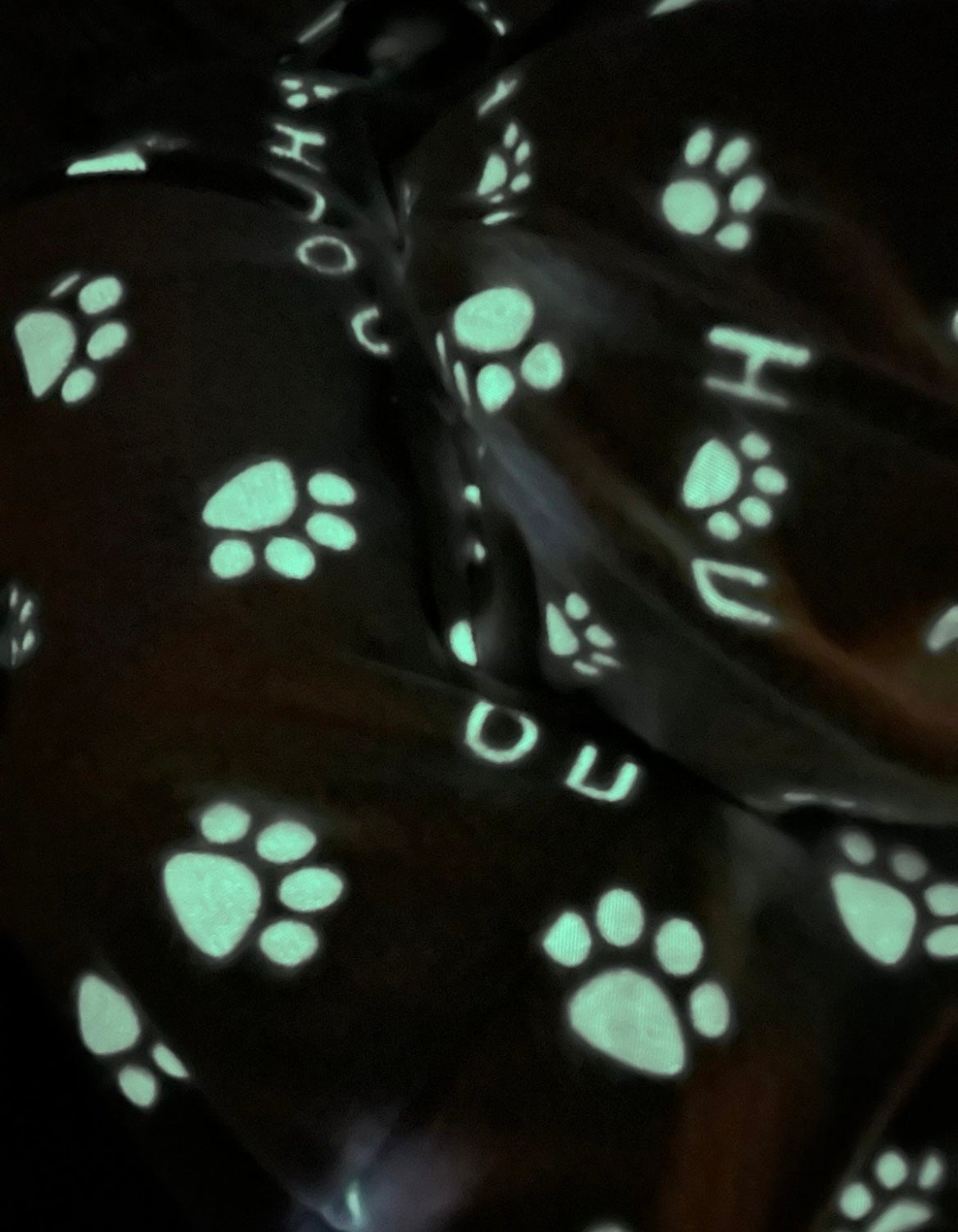 3-in-1 Katzentunnel mit extra Tunnel und Spielzeug, Spielzeug & Bett!