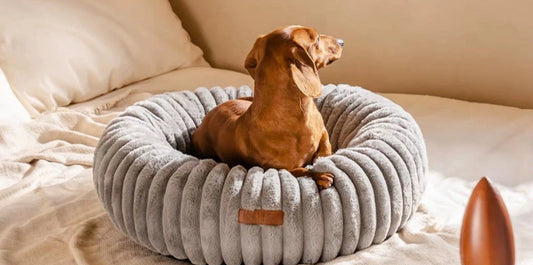 Hundebett& Katzenbett rund 50/80cm Grau - Kuschliges Plüschbett für Katzen & kleine/ mittelgroße Hunde