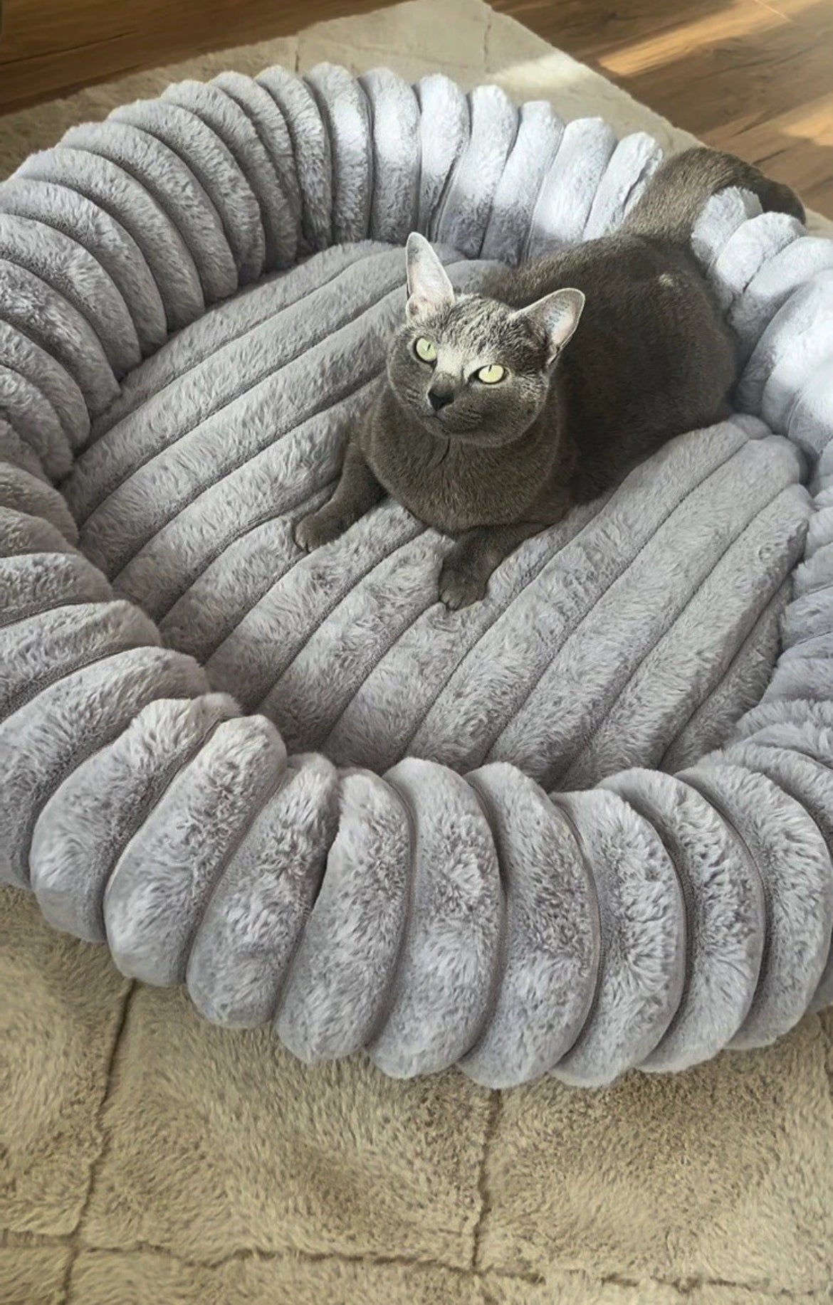 Hundebett& Katzenbett rund 50/80cm Grau - Kuschliges Plüschbett für Katzen & kleine/ mittelgroße Hunde