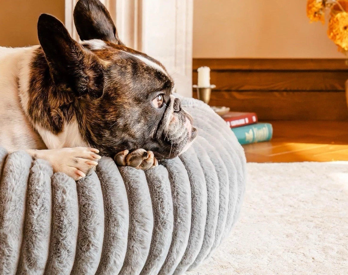 Hundebett& Katzenbett rund 50/80cm Grau - Kuschliges Plüschbett für Katzen & kleine/ mittelgroße Hunde