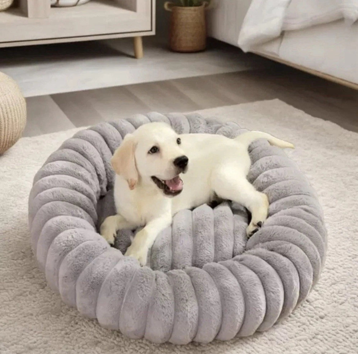 Hundebett& Katzenbett rund 50/80cm Grau - Kuschliges Plüschbett für Katzen & kleine/ mittelgroße Hunde