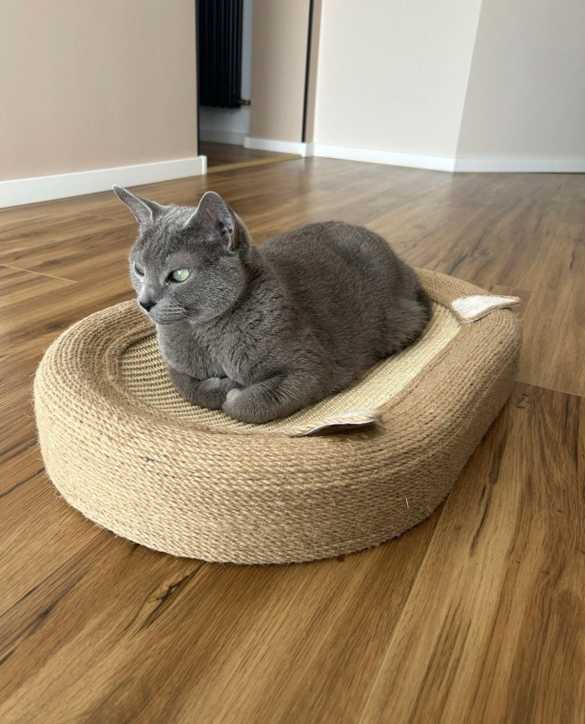 Katzenkratzbrett mit Spielball und Kratzfläche- Kratzbaum, Katzenbett & Katzenspielzeug in einem.