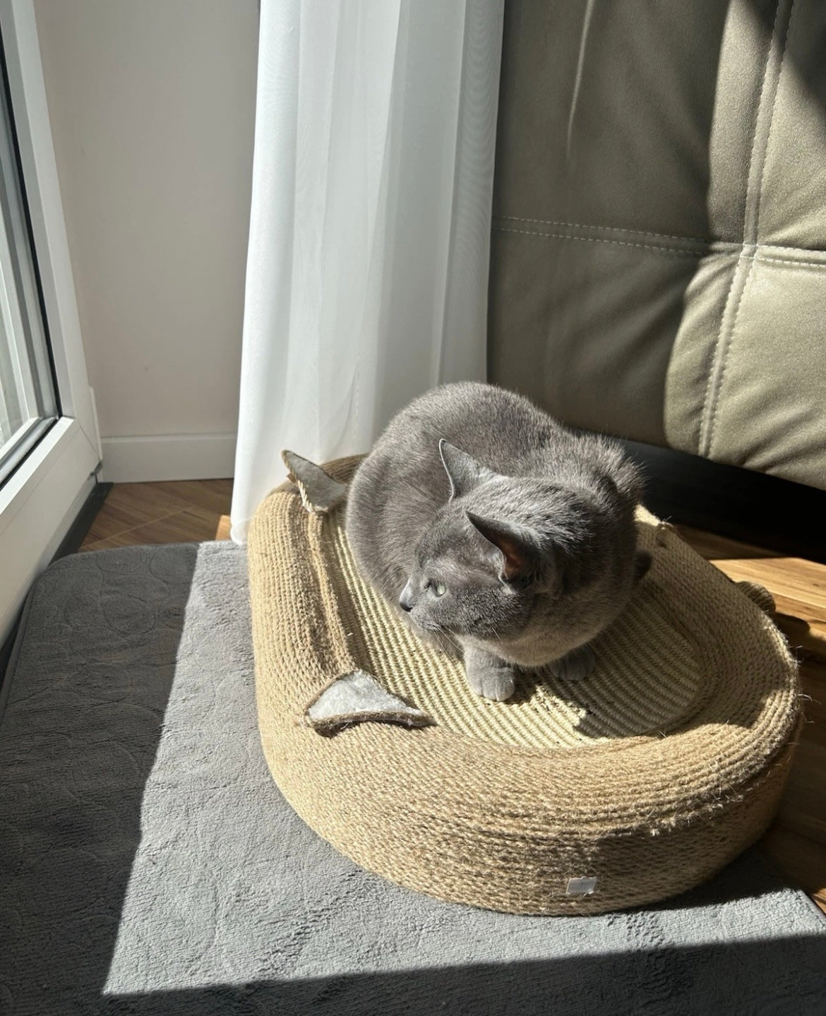 Katzenkratzbrett mit Spielball und Kratzfläche- Kratzbaum, Katzenbett & Katzenspielzeug in einem.