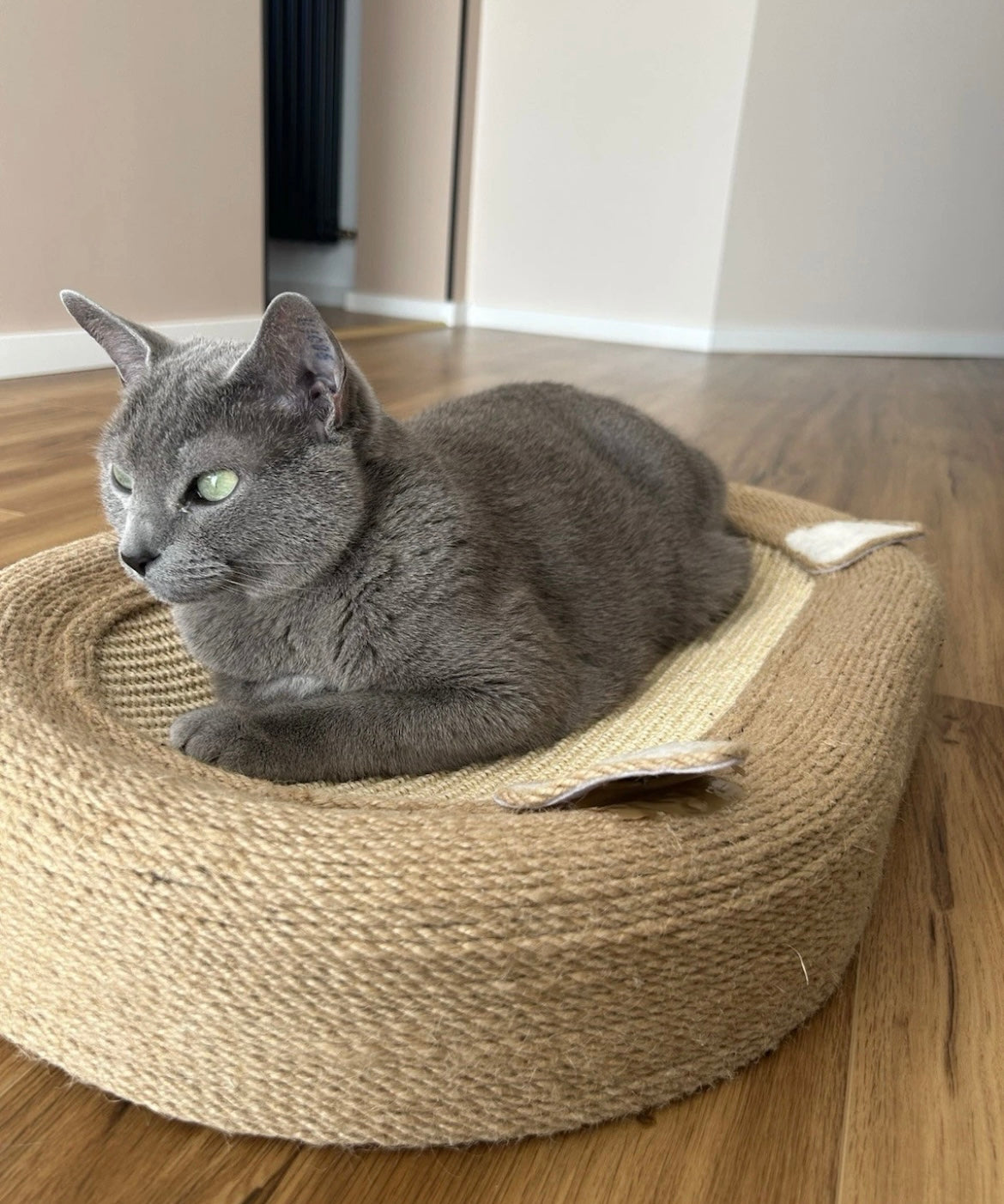 Katzenkratzbrett mit Spielball und Kratzfläche- Kratzbaum, Katzenbett & Katzenspielzeug in einem.