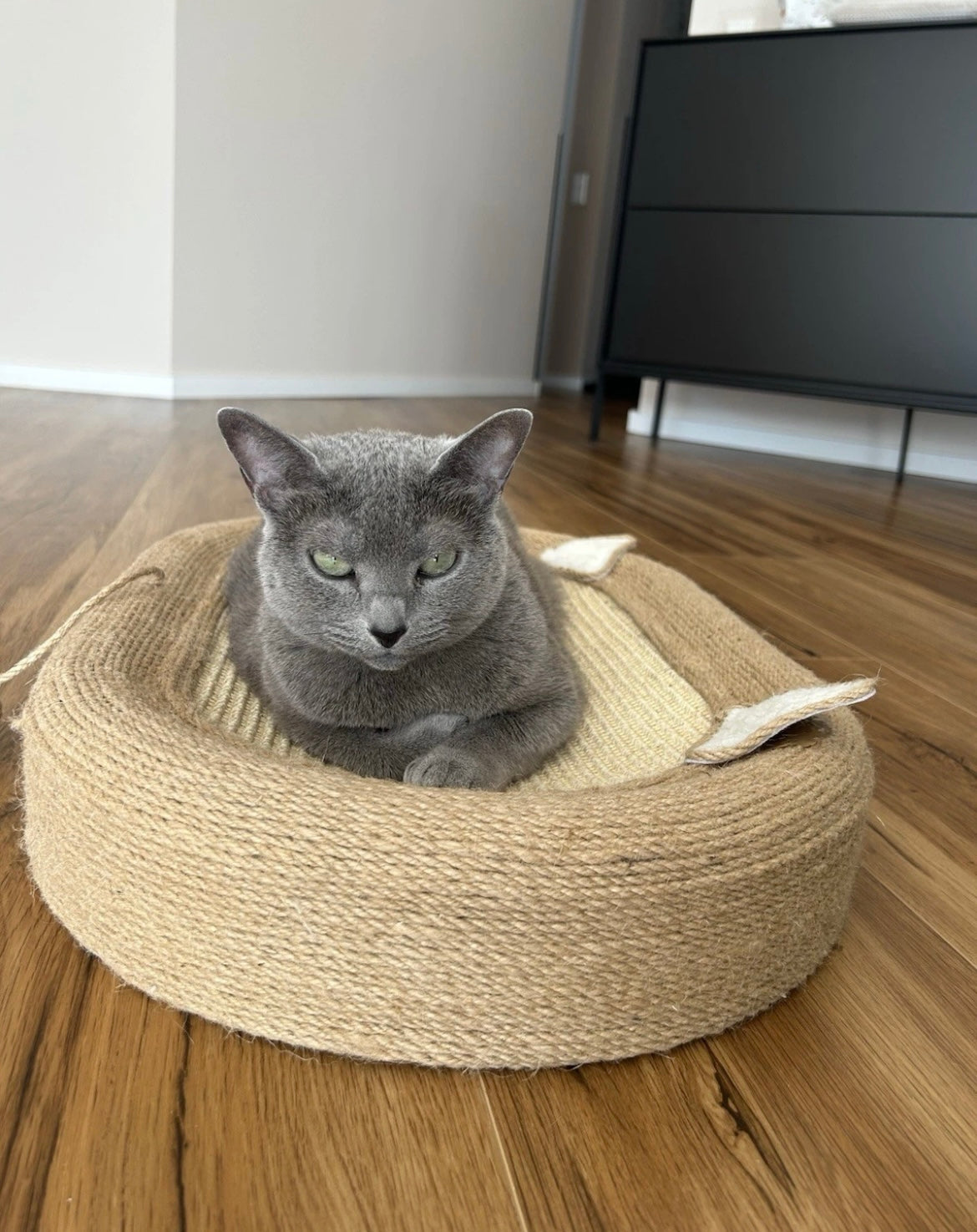Katzenkratzbrett mit Spielball und Kratzfläche- Kratzbaum, Katzenbett & Katzenspielzeug in einem.