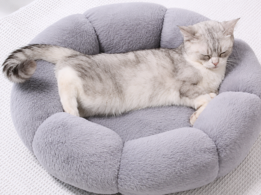 Katzenbett Hundebett rund 50 cm Plüsch grau/beige - perfekter Schlafplatz für Katzen & kleine Hunde.
